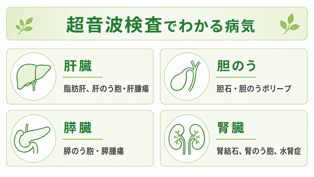 超音波検査でわかる病気