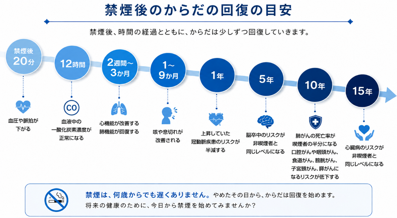 禁煙後のからだの回復の目安